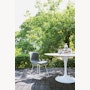 Bertoia Molded Shell Side Chair