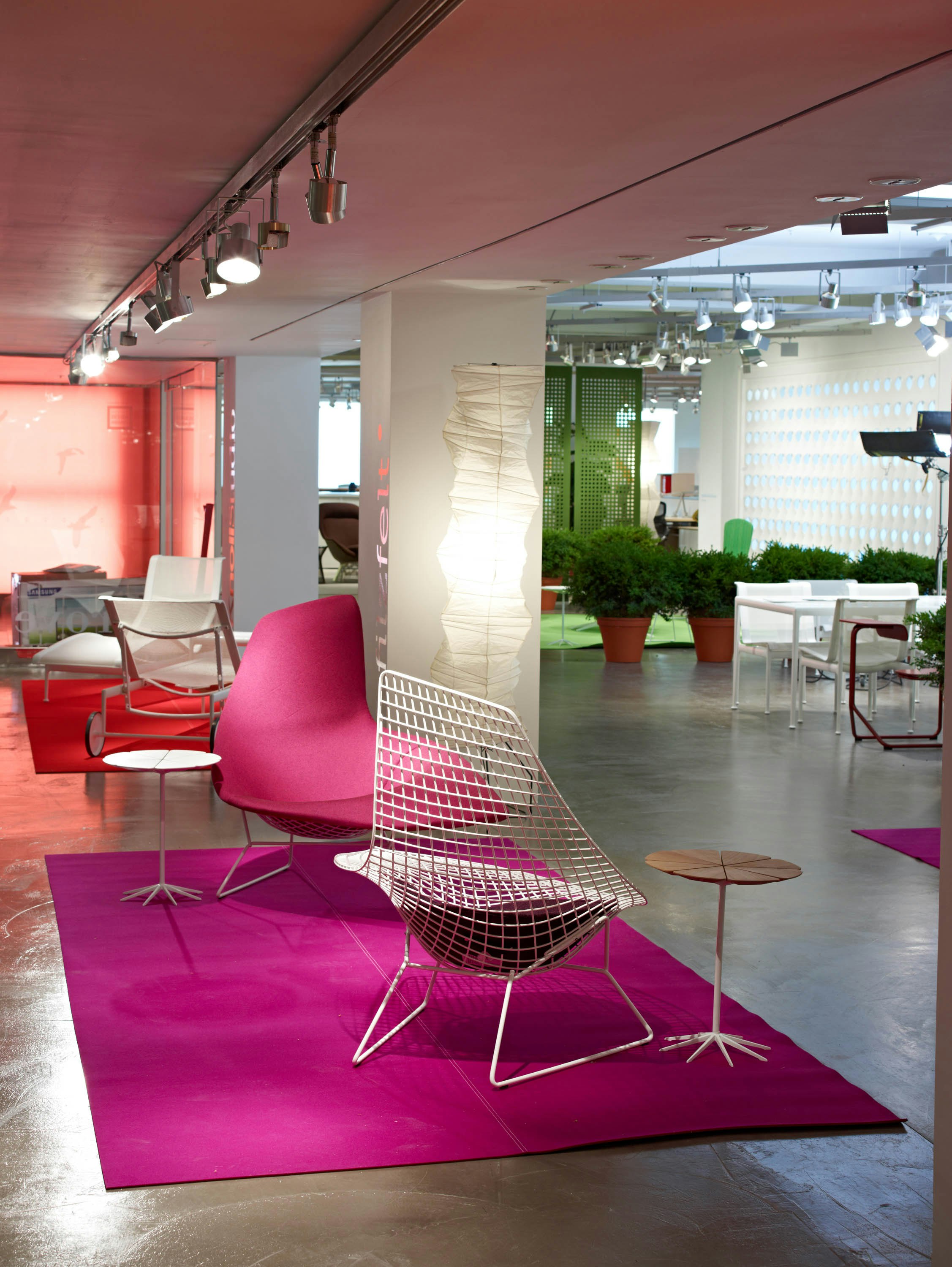 Harry Bertoia Diamond chair and Asymmetric Chaise Lounge Chair with Richard Schultz Petal side table