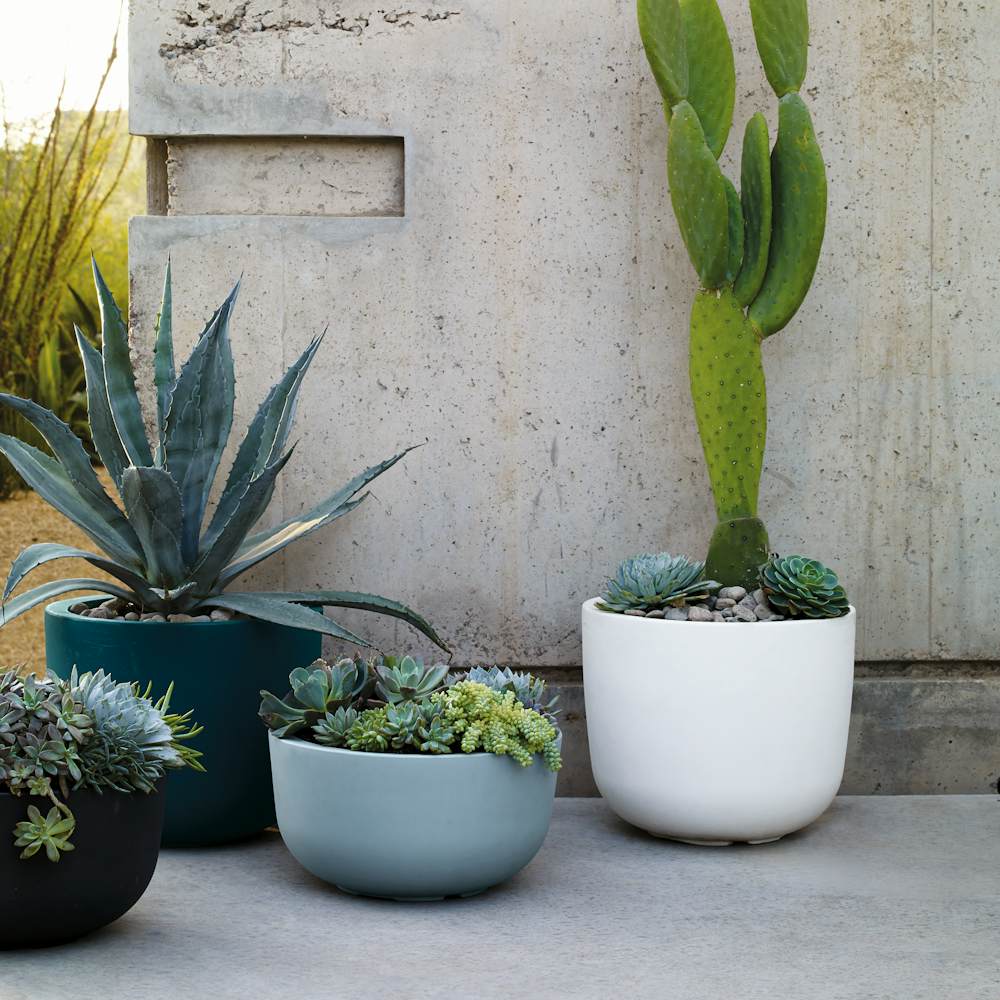 Cup Planters in an outdoor setting