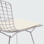 Bertoia Side Chair