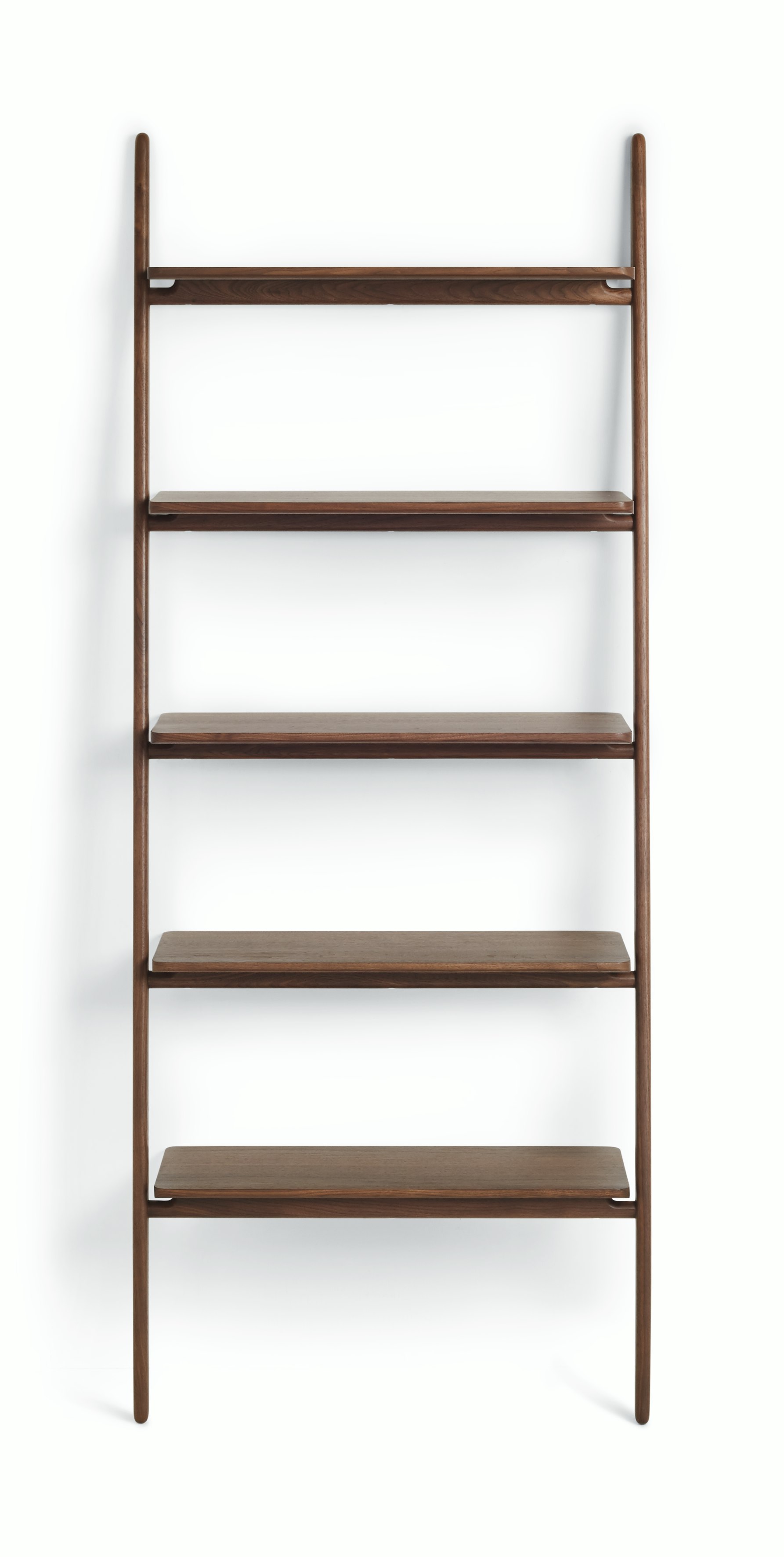 Folk Ladder Shelving