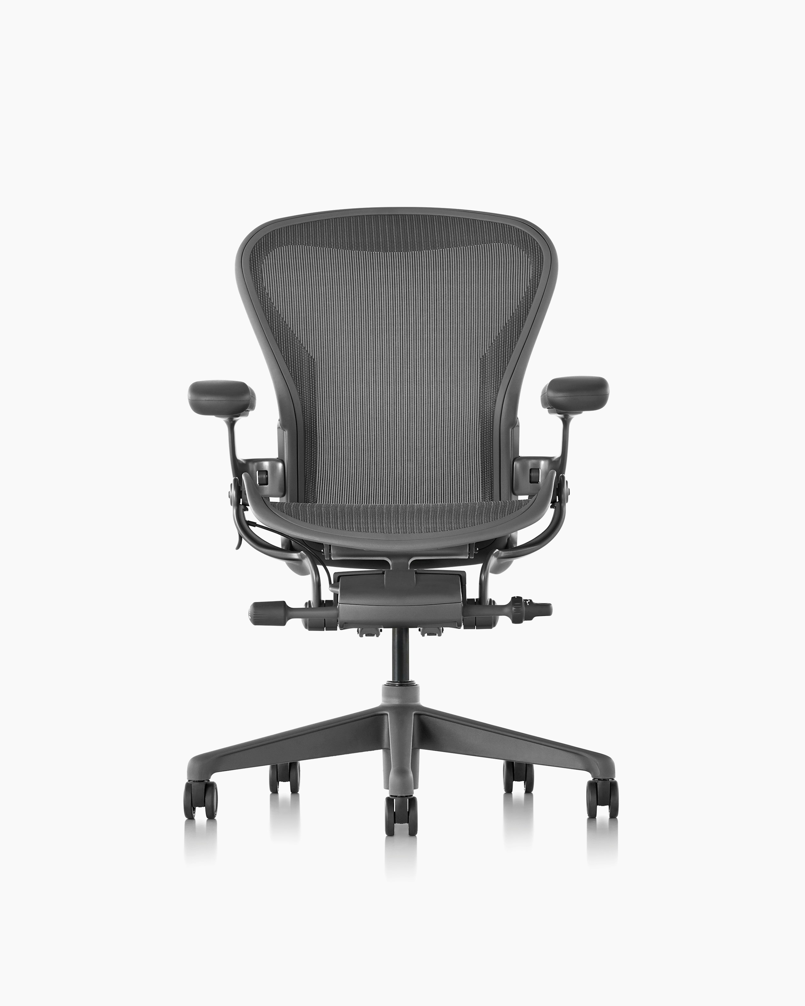 Aeron Chair, Basic Back Support