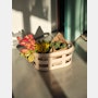 Laundry Basket
