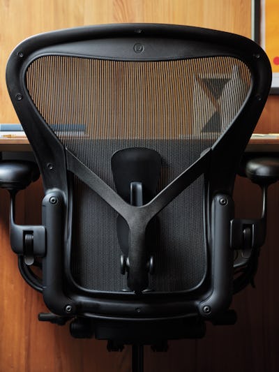 Aeron Deluxe Chair detail