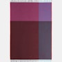 Color Block Throw