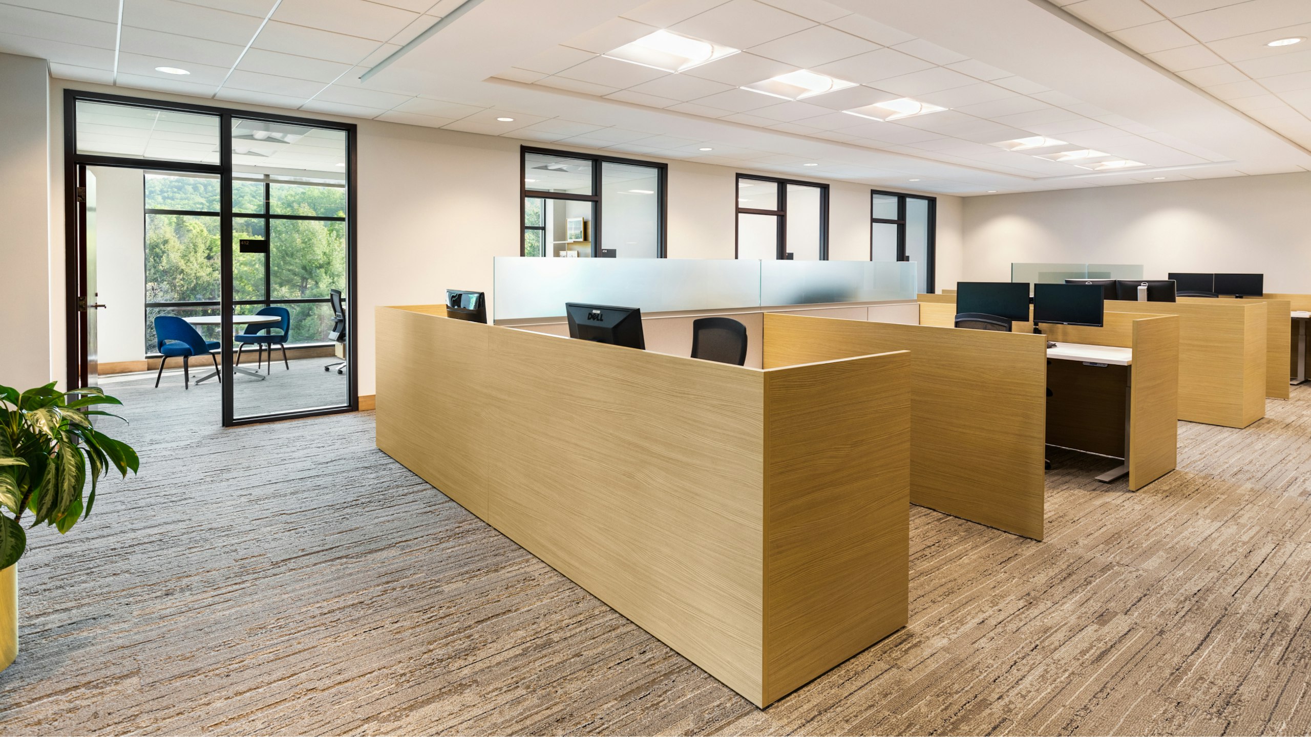 An open office area featuring several individual workstations furnished with Knoll Life Chairs