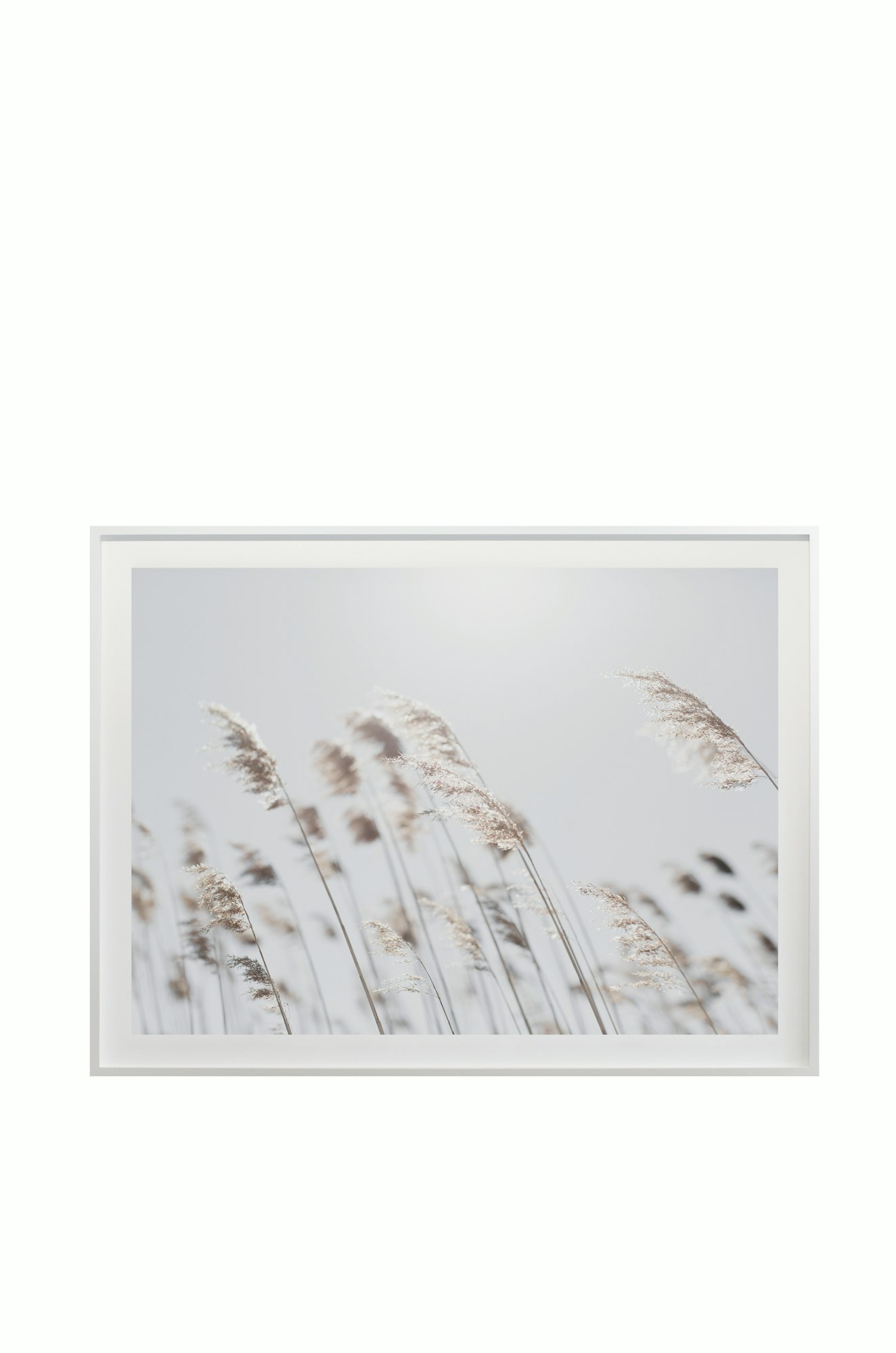 Cas Friese Coastal no.3326