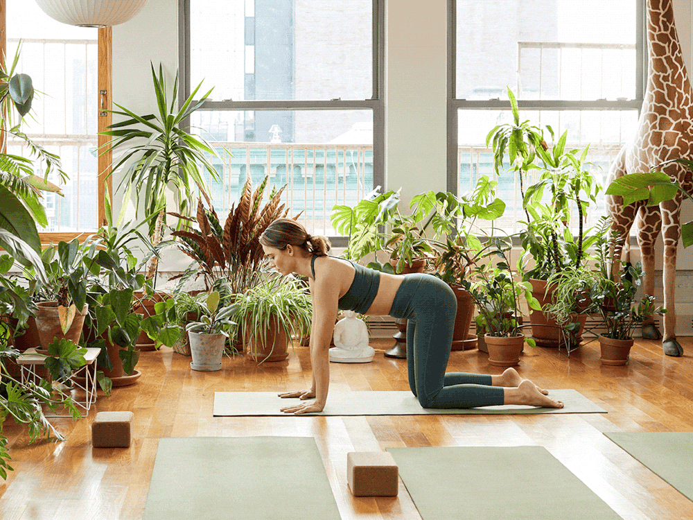 HM Wellness, Chloe at Sky Ting Yoga GIF