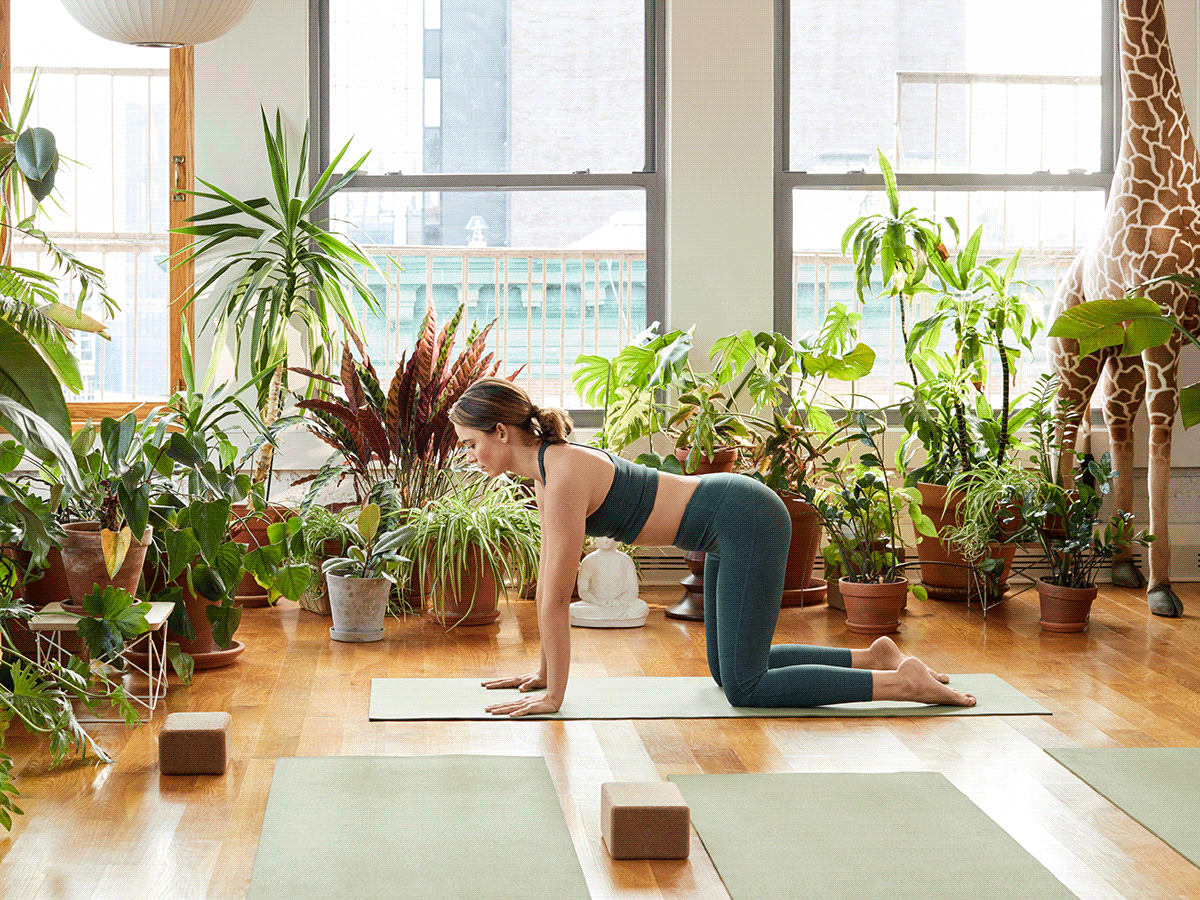 HM Wellness, Chloe at Sky Ting Yoga GIF