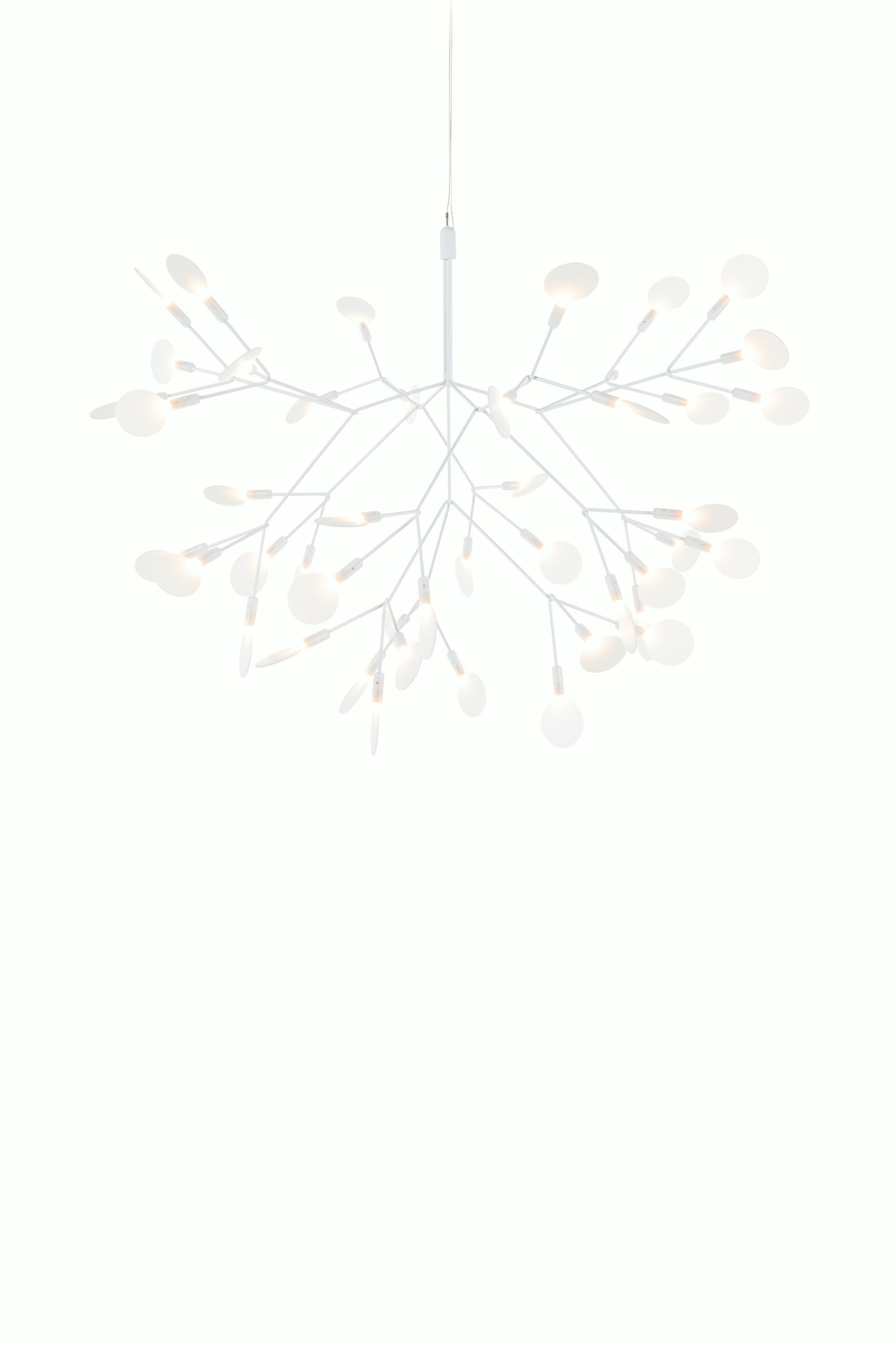 Heracleum III Pendant