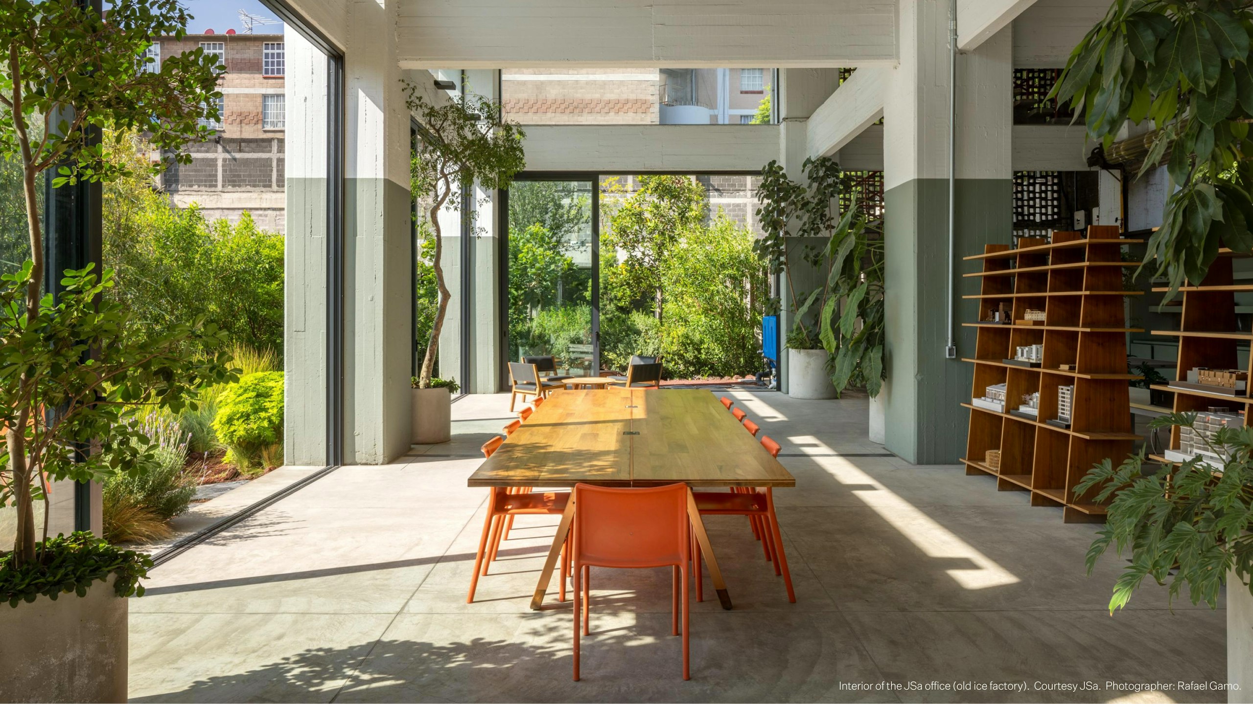 A meeting space in the interior of the JSa office filled with lush green plants, bookshelves, and floor-to-ceiling windows
