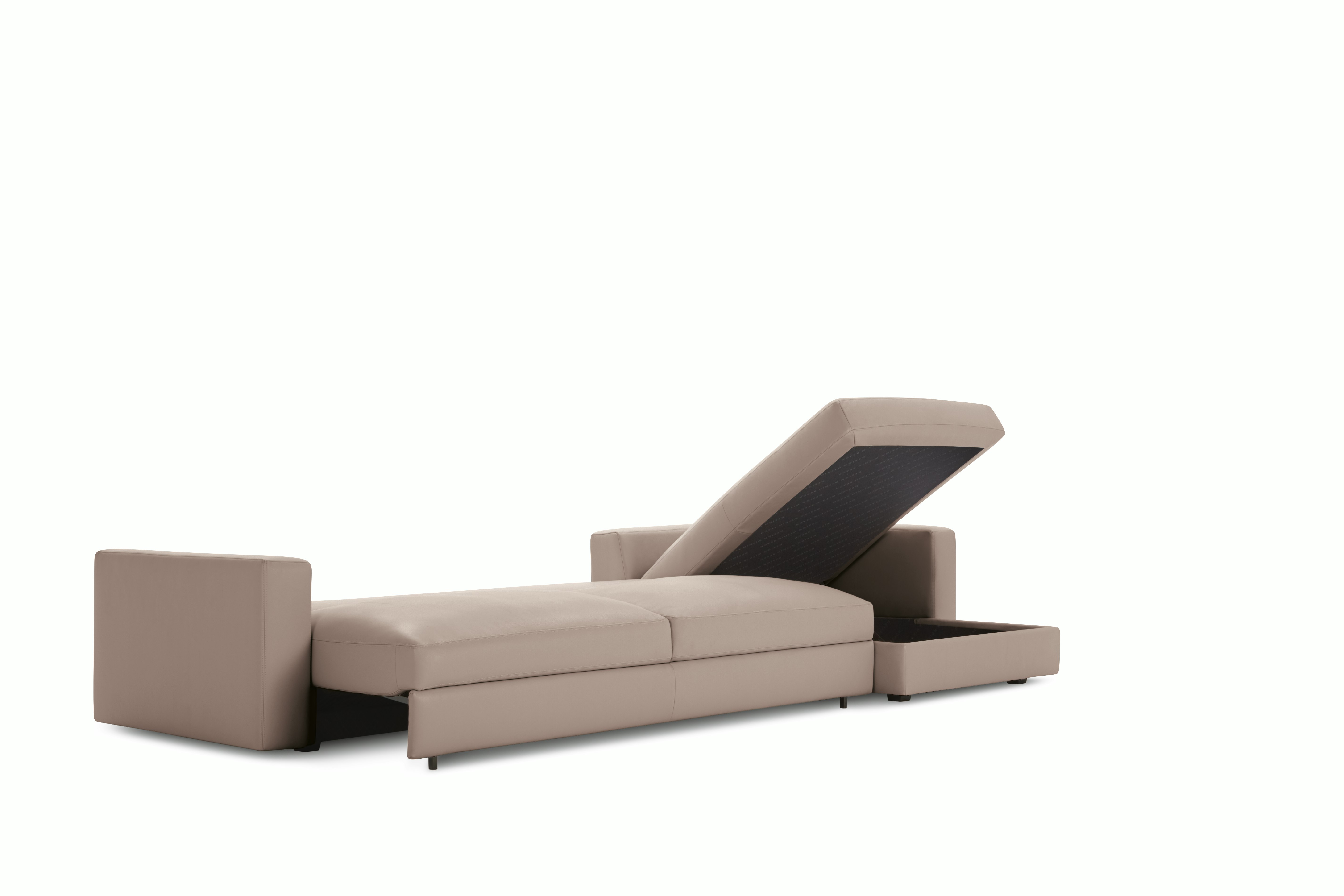 Reid Sleeper Storage Sectional