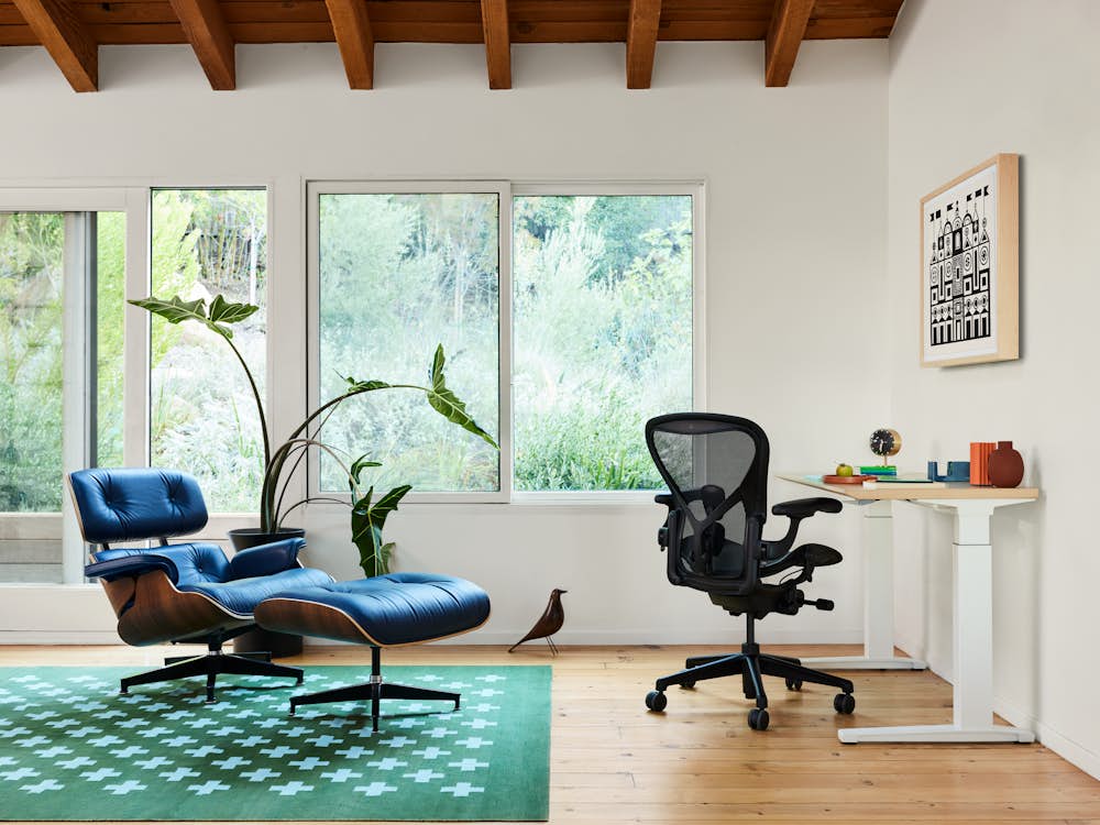 ELO, Aeron Chair, Renew Desk and Girard Plus Rug