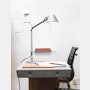 Tolomeo Desk Lamp