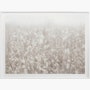 "Fields + Flora No. 5669" by Cas Friese  "Fields + Flora No. 5669" by Cas Friese