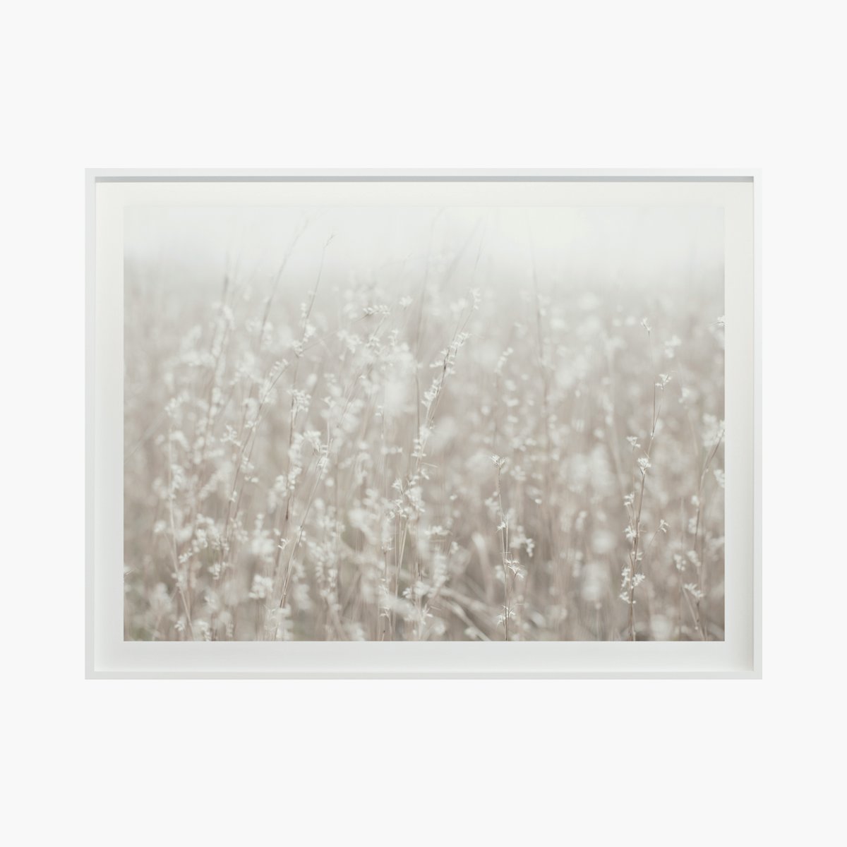 "Fields + Flora No. 5669" by Cas Friese  "Fields + Flora No. 5669" by Cas Friese