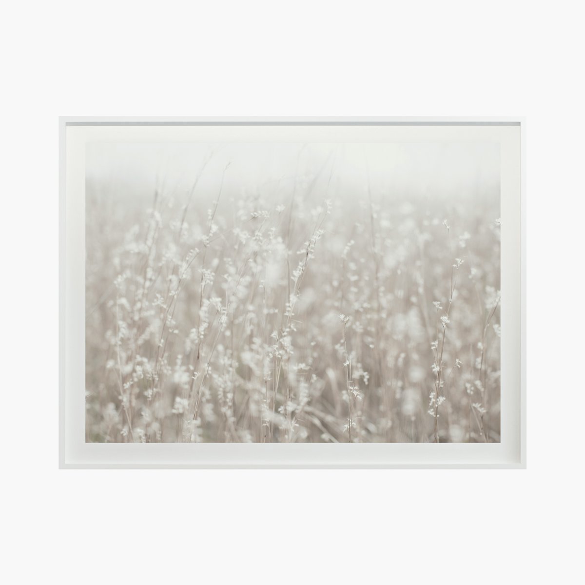 "Fields + Flora no.5669" by Cas Friese 