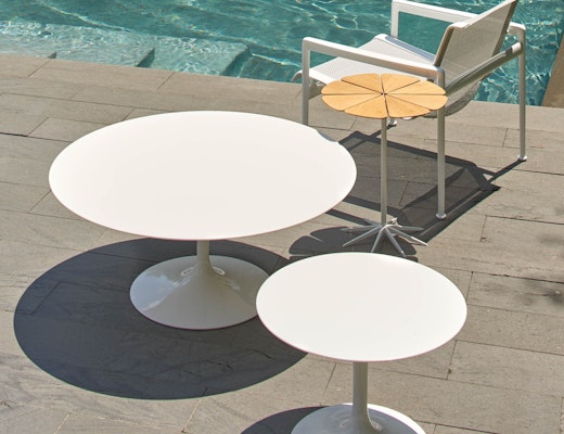 Saarinen Outdoor Coffee and Side Table Schultz 1966 Lounge Chair, Schultz Petal Table