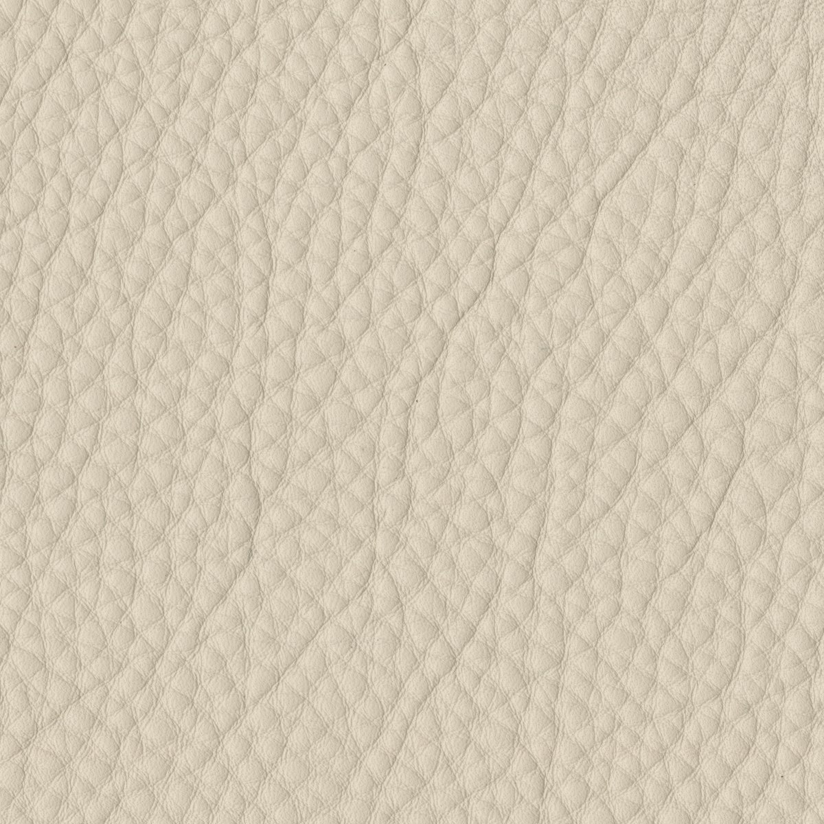Gesso Kalahari Leather Swatch (DWR)