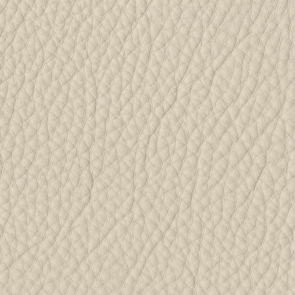 Gesso Kalahari Leather Swatch (DWR)