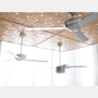 Altus Ceiling Fan