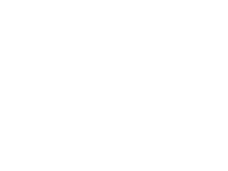 Polygon Logo