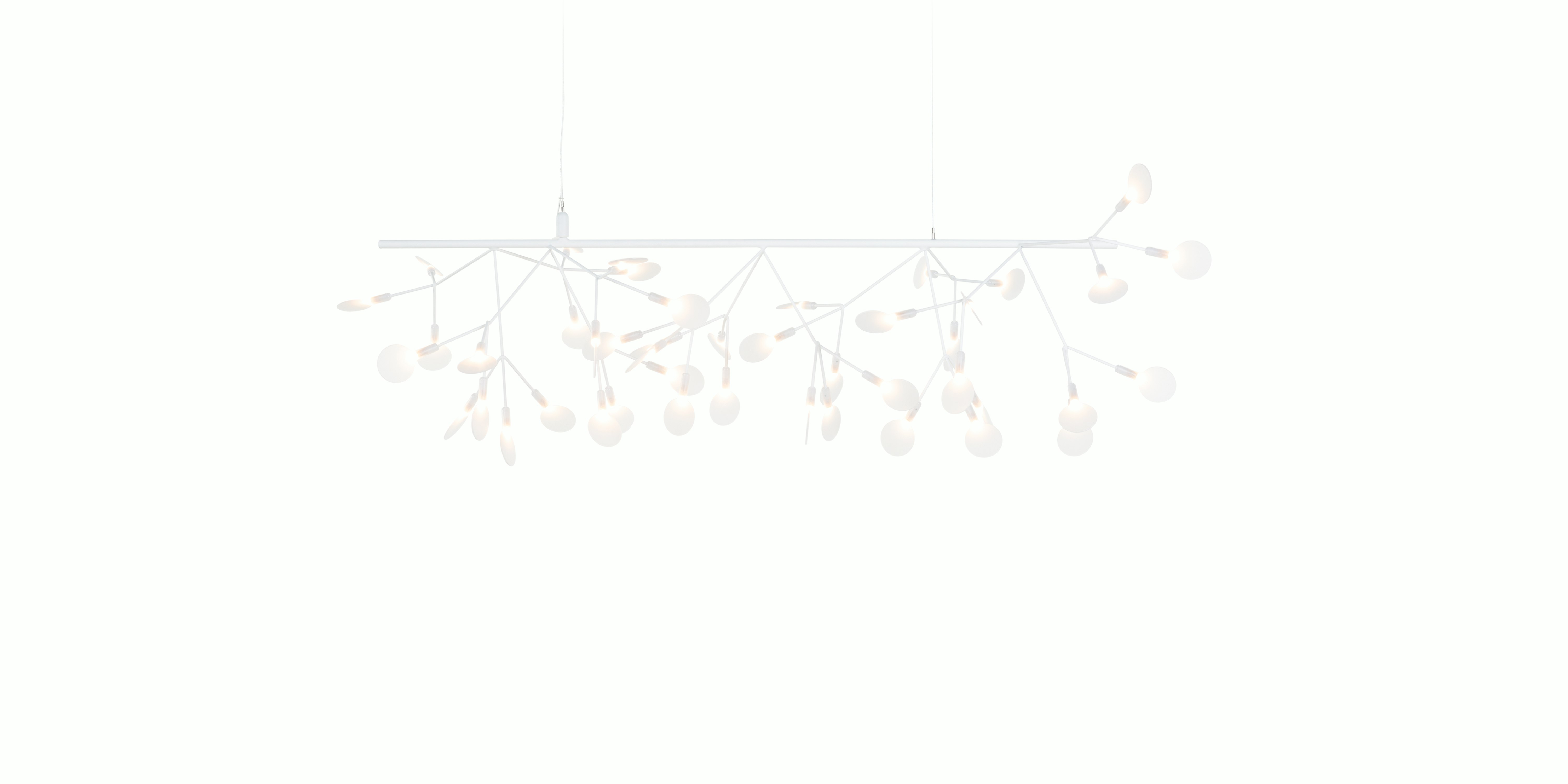Heracleum III Endless Pendant
