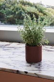 Facade Herb Pot