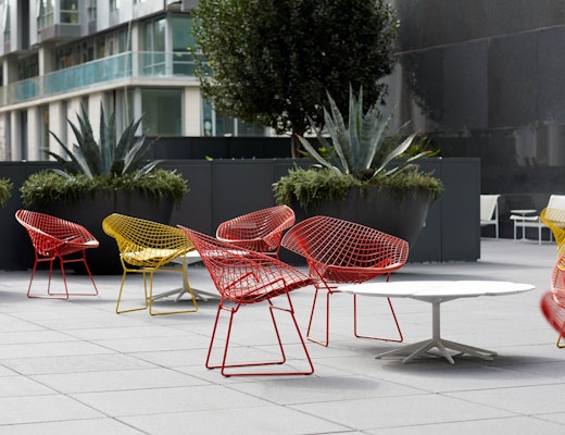 Outdoor Bertoia Diamond Chair and Schultz Petal Coffee Table Bertoia Diamond Chair Richard Schultz Petal Coffee Table outdoor community shared spaces