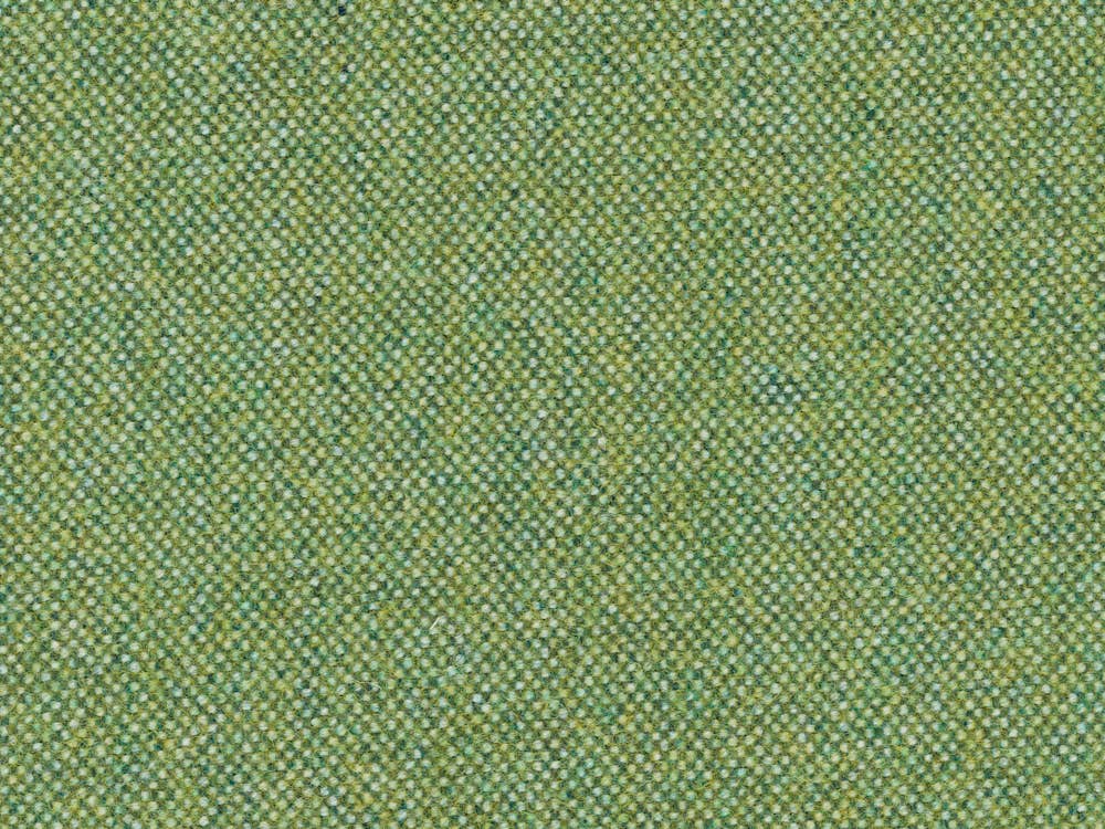Beck Katydid 031 Color Swatch