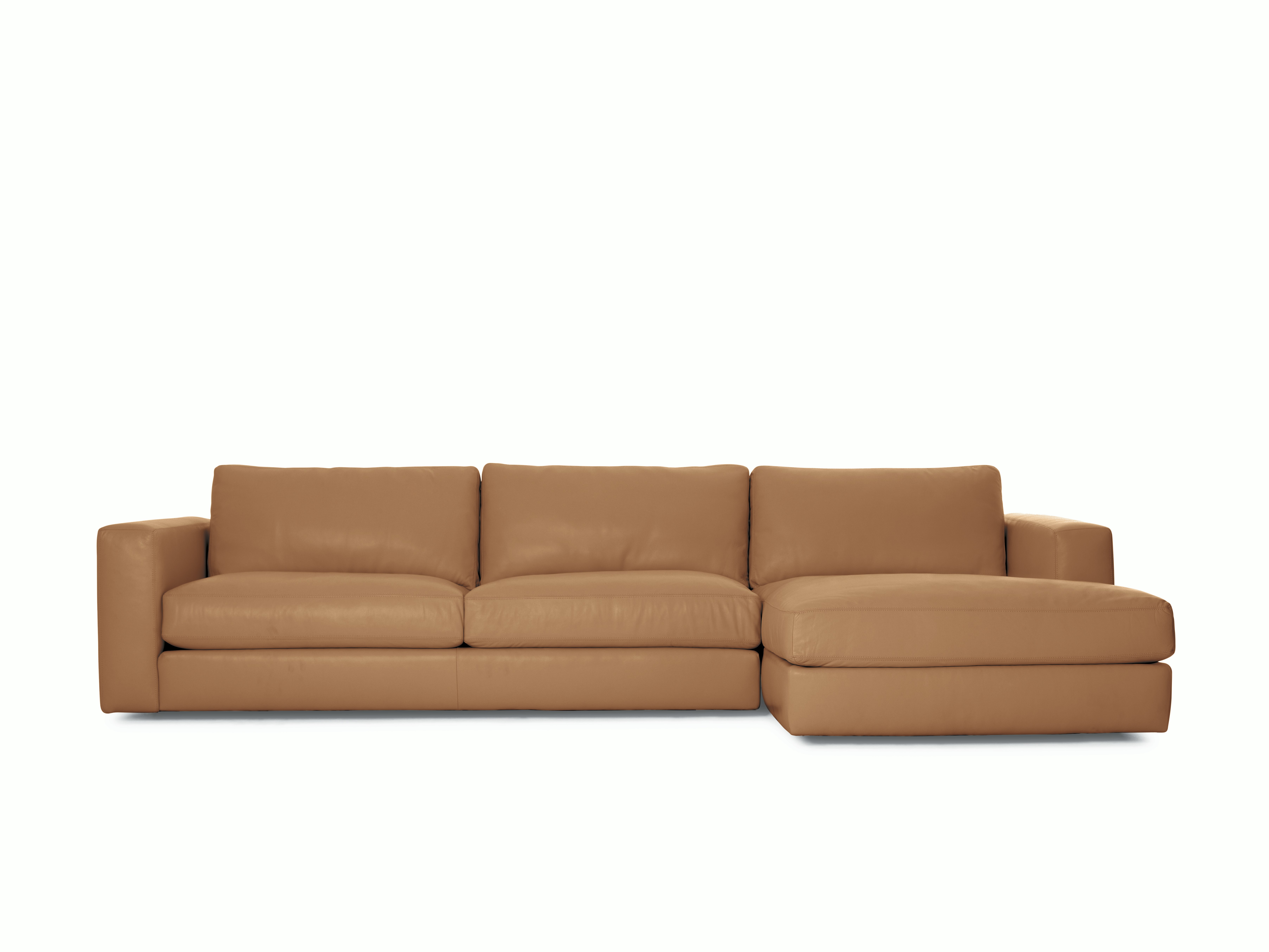 Reid Sectional