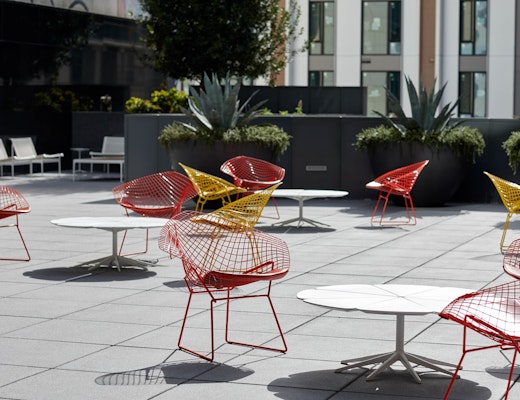 Outdoor Bertoia Diamond Chair and Schultz Petal Coffee Table Bertoia Diamond Chair Richard Schultz Petal Coffee Table 1966 collection 1966 lounge chair 1966 coffee table outdoor community shared spaces