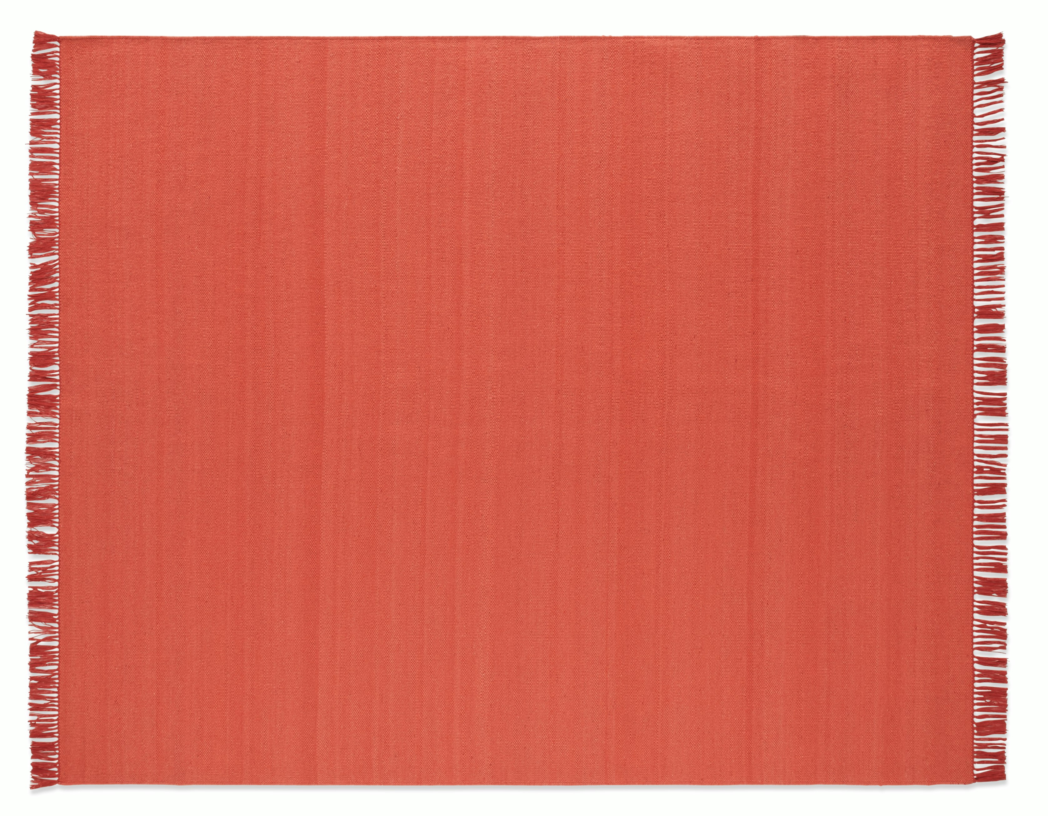 Indra Indoor-Outdoor Rug