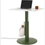 OE1 Sit-to-Stand Table
