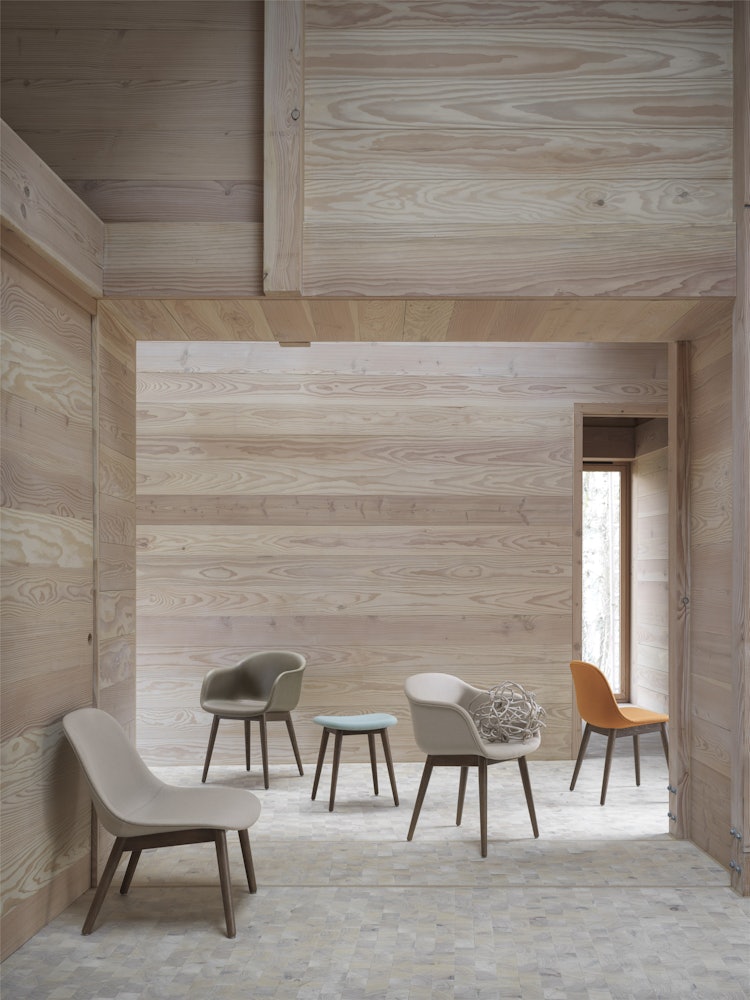 Fiber Dining Chair