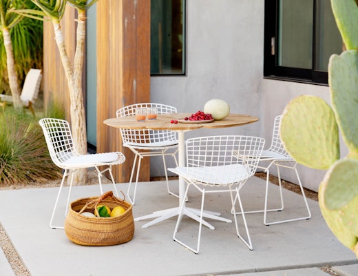 Petal Dining Table & Bertoia Side Chair Petal Dining Table Bertoia Side Chair