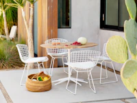 Petal Dining Table Bertoia Side Chair