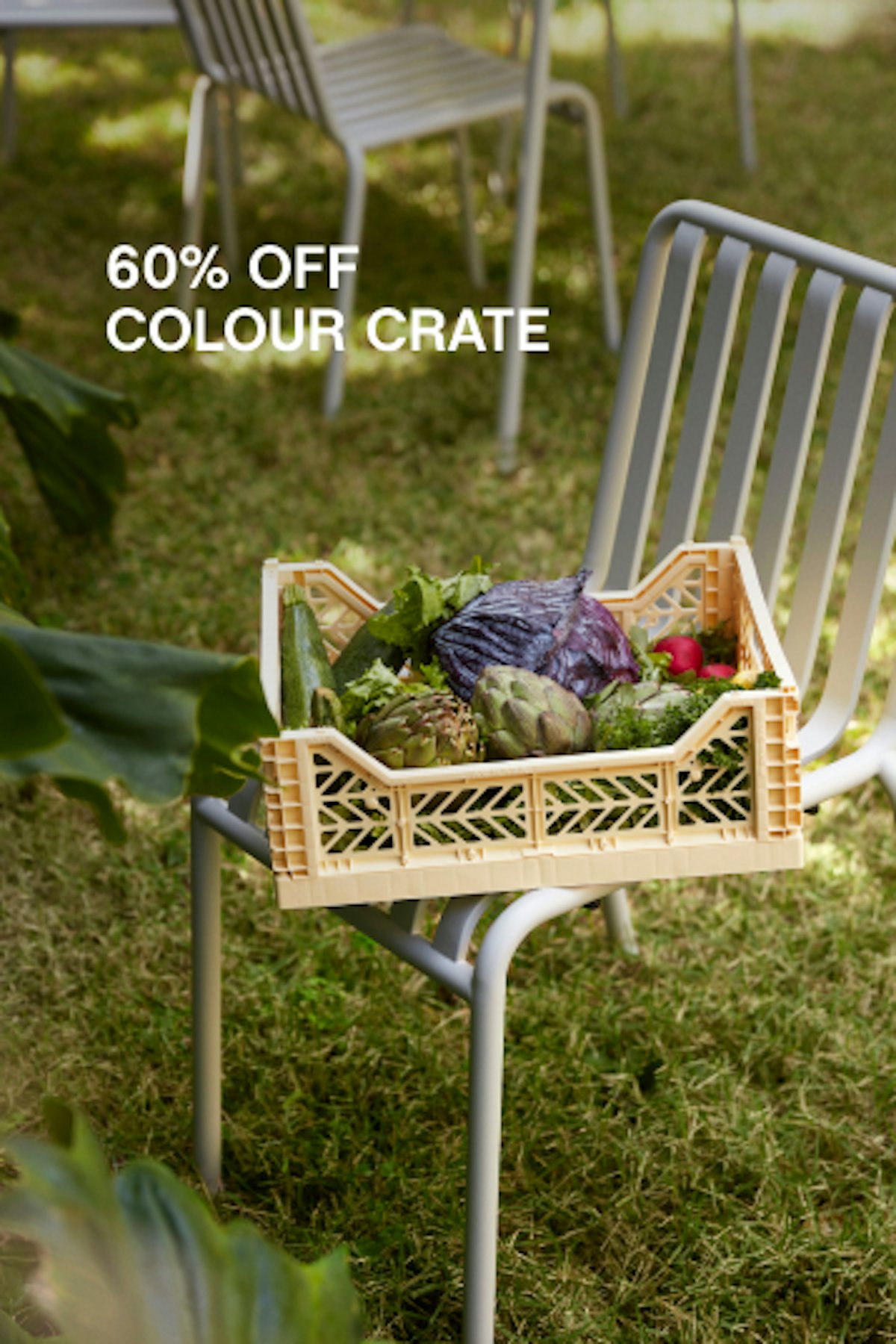60% OFF COLOUR CRATE