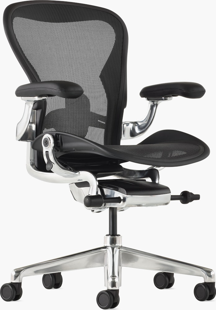 Aeron Onyx, adjustable back support, with tilt limiter and fixed arms