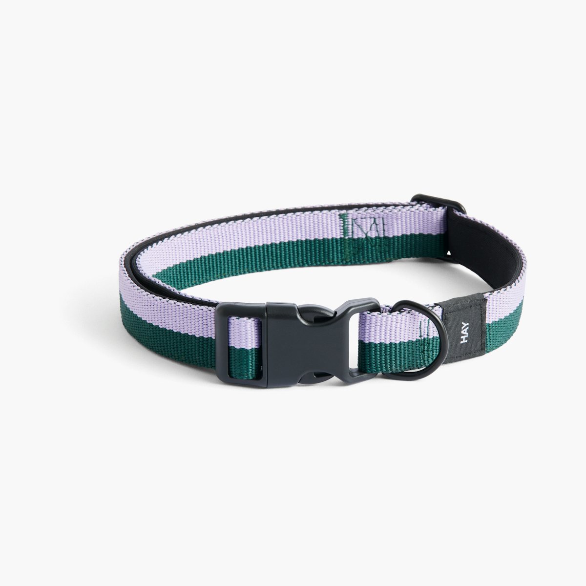 Dog Collar Dog Collar, Medium / Large