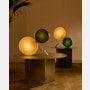 Coppia Table Lamp