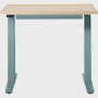 Motia Sit to Stand, T Leg, 24x36