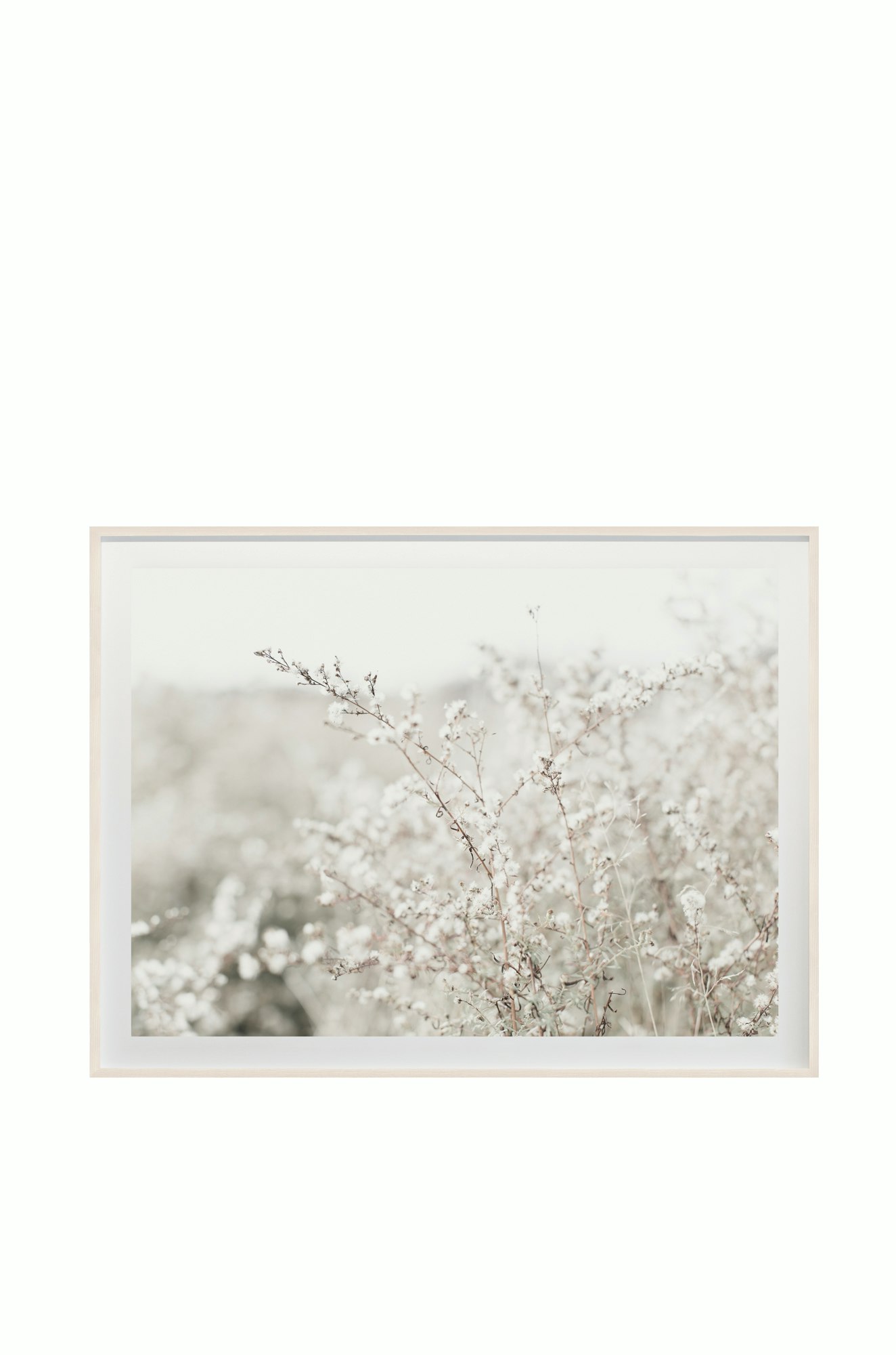 Fields and Flora No. 5662 by Cas Friese - 30x40