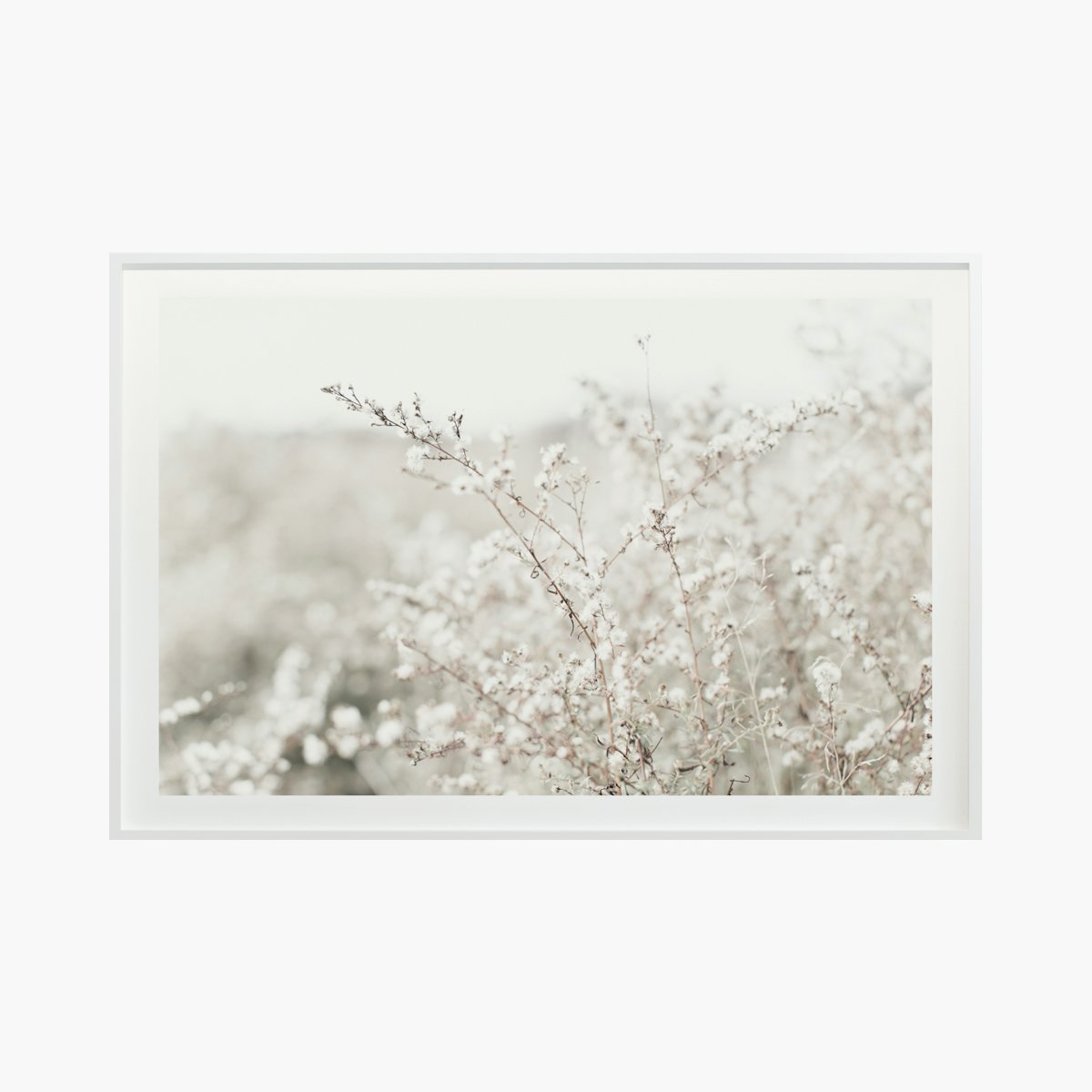“Fields + Flora No. 5662” by Cas Friese “Fields + Flora No. 5662” by Cas Friese