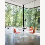 Bertoia Molded Shell Side Chair