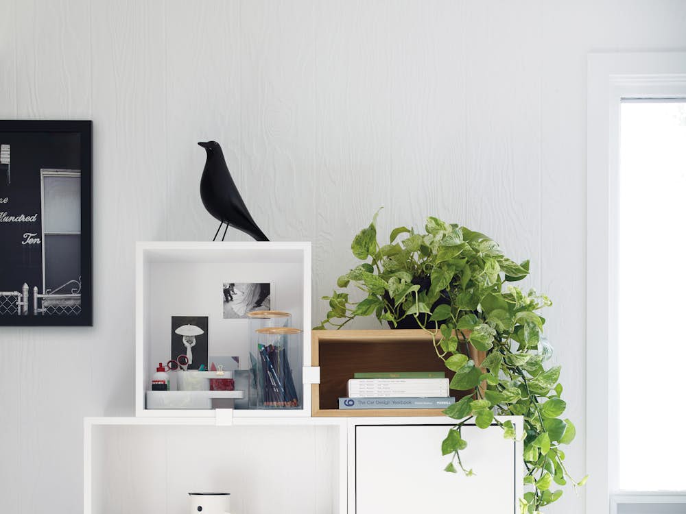 Eames House Bird