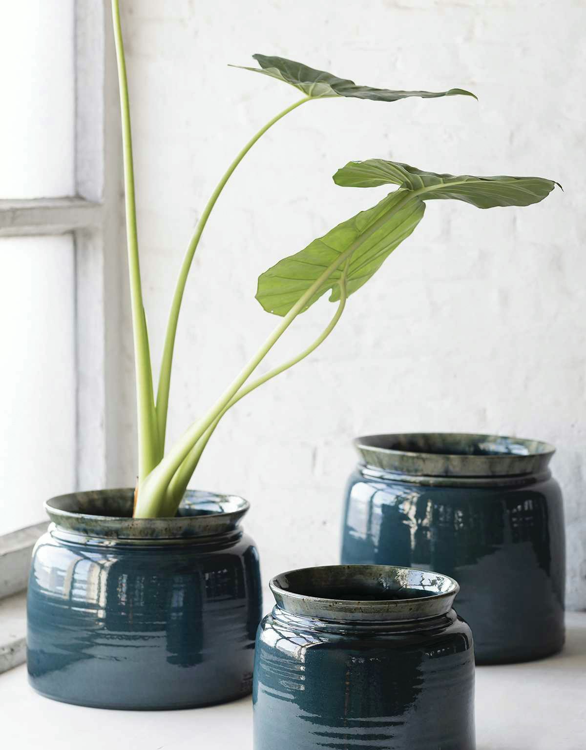 Glazed Shades Flower Pot – Design Within Reach