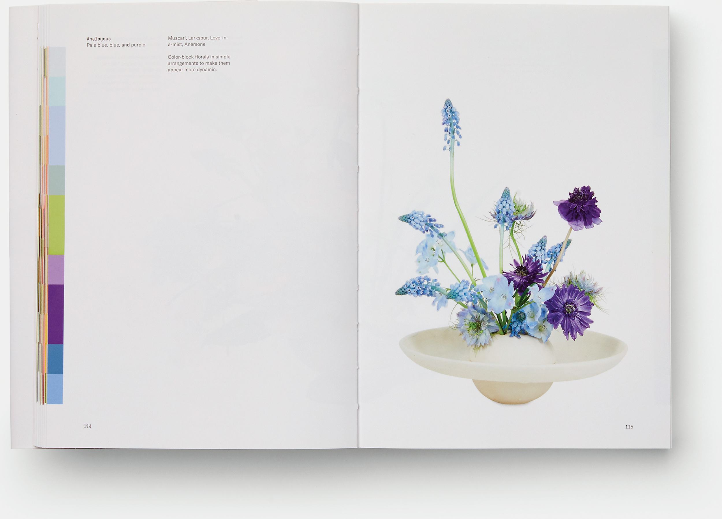Empty Vase - Flower Color Theory by Darroch Putnam - Same Day Flower  Delivery