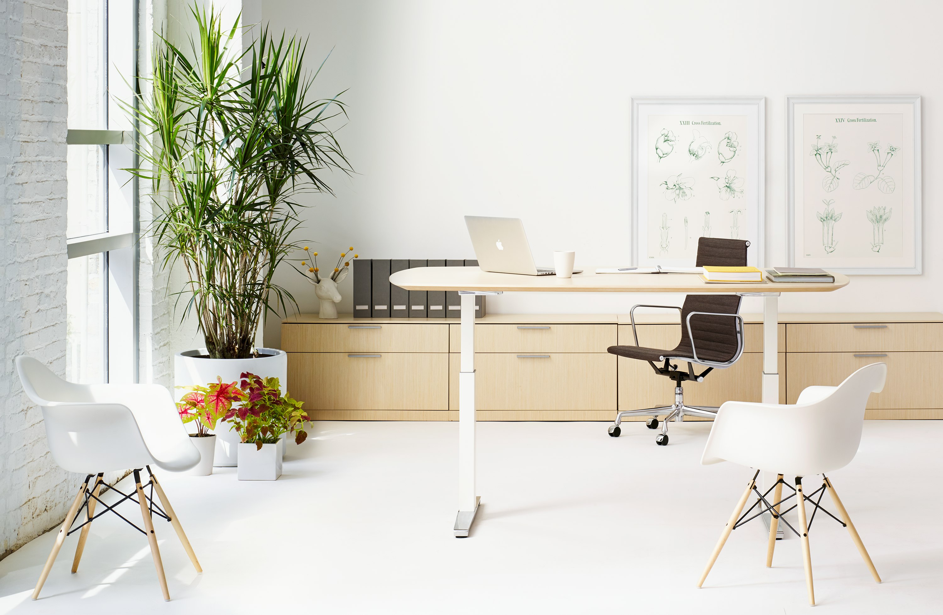 Renew Sit-to-Stand Table Large Haven with Raised Surface