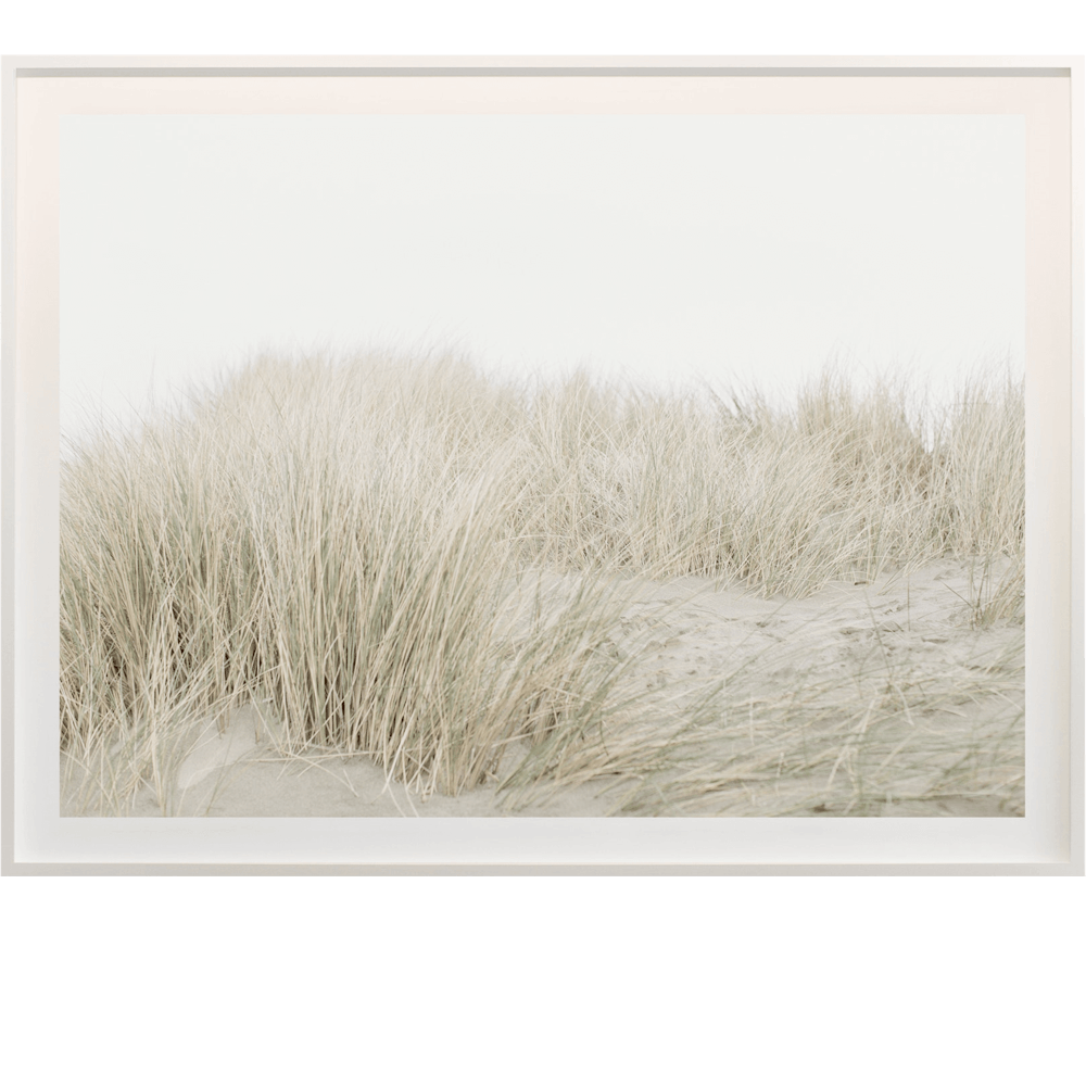 Cas Friese Dunes no.7100